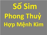 Sim hợp mệnh Kim